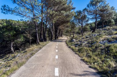 Dar ve dolambaçlı dağ yolu