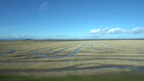 Vistas Campos Arroz Través Ventana Móvil Del Coche — Vídeos de Stock