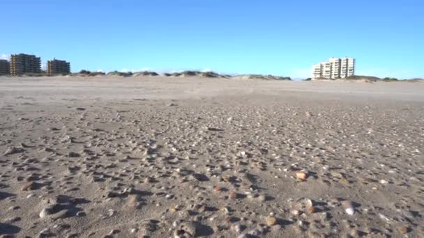 风把沙滩上的沙子吹走了 — 图库视频影像