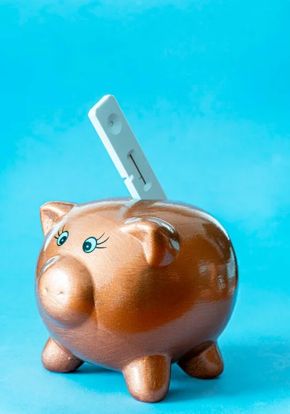 Little pig piggy bank with an antigen test in the slot, isolated on blue background. Cost and savings concept in antigen tests.