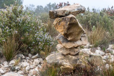 Ormandaki yolu işaretlemek için taşları istifledim..