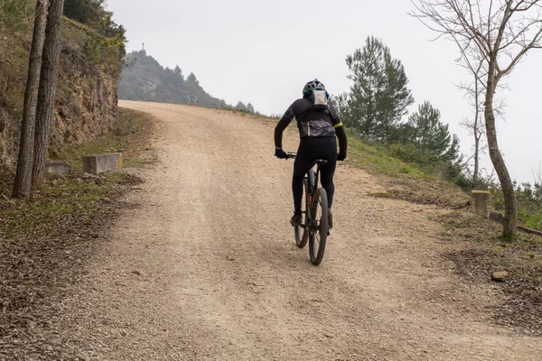 Rückansicht Eines Radfahrers Beim Mountainbiken Auf Einem Waldweg — Stockfoto
