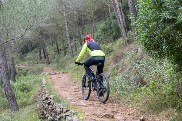 Rückansicht Eines Radfahrers Beim Mountainbiken Auf Einem Waldweg — Stockfoto