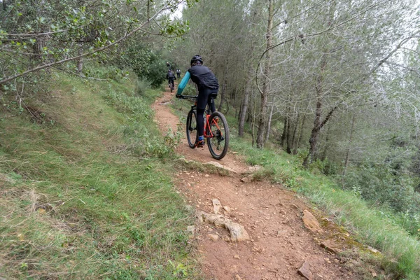 Rückansicht Eines Radfahrers Beim Mountainbiken Auf Einem Waldweg — Stockfoto