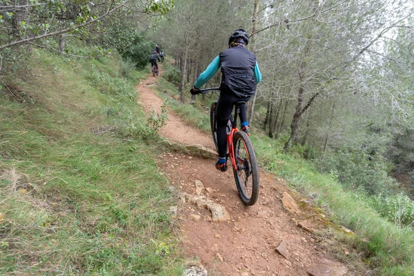 Rückansicht Eines Radfahrers Beim Mountainbiken Auf Einem Waldweg — Stockfoto