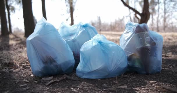 Уборка мусора в лесу, экоактивист — стоковое видео