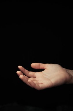 Siyah arka planda el, düşen lale yapraklarını yakalar.