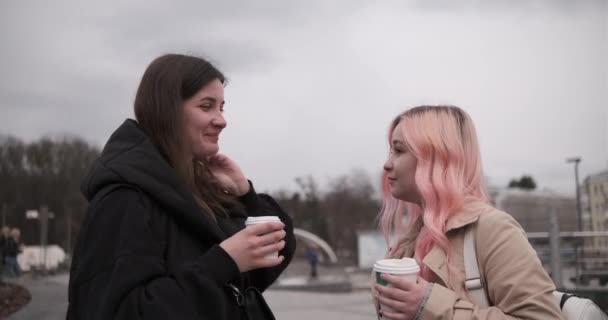 Zwei-Frauen-Gespräch auf der Straße — Stockvideo