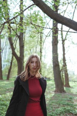 Sarı saçlı, kırmızı golflü ve etekli bir kız bahar ormanında yürüyor.