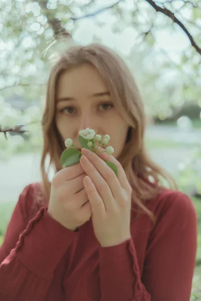 Blonde Girl Red Inhales Smell Cherry Blossoms — Stockfoto