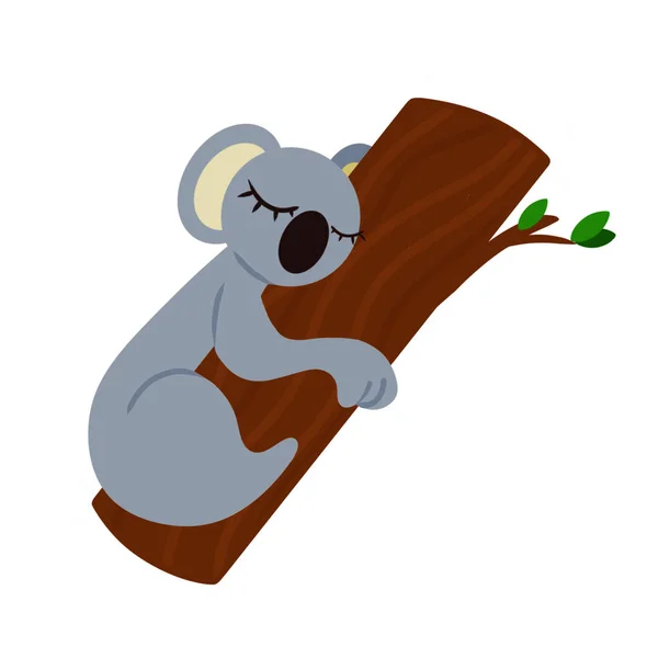 Entzückender Grauer Koala Der Auf Einem Eukalyptusbaum Schläft Vektor Illustration — Stockvektor