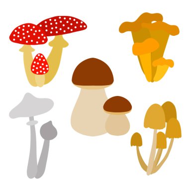 Beyaz arka planda izole edilmiş farklı mantar türleri. Yenilebilir ve zehirlidir. Amanita chanterelle mantarlı porcini mantarlı sahte mantar. Vektör çizimi. Sitelerin kırtasiye menüsü için tasarım ögesi