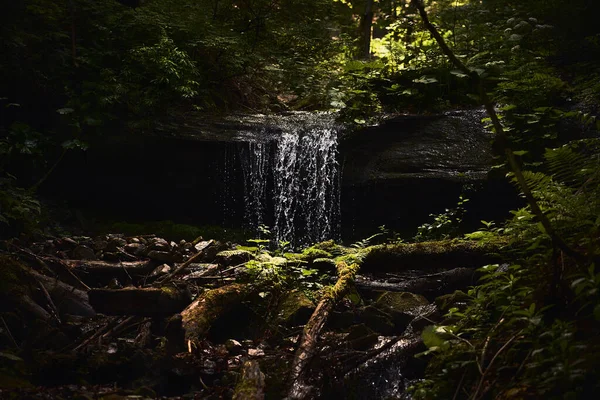  Ormandaki şelale, dağlardaki şelale, orman, milli park                      