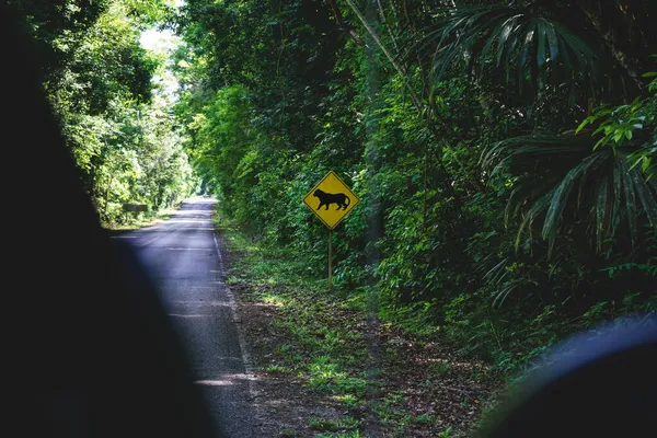 Sinal Estrada Com Aviso Onças Selvagens Longo Caminho Para Parque — Fotografia de Stock