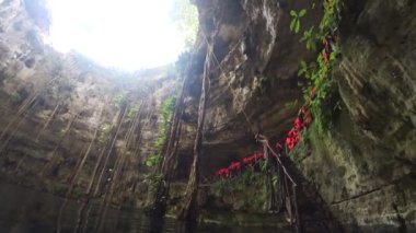 'Gran Cenote' doğal kireçtaşı havuzunda tropikal ağaçlar boyunca yüzerek Tulum, Meksika 'daki güneş ışınlarına