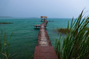 El Remate, Peten, Guatemala 'da yağmur sulara düşerken çimenler Itza Gölü' ne dökülüyor.