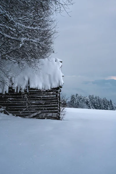 Celeiro Coberto Neve Sob Árvore Paisagem Inverno Alpino Tirol Áustria — Fotografia de Stock