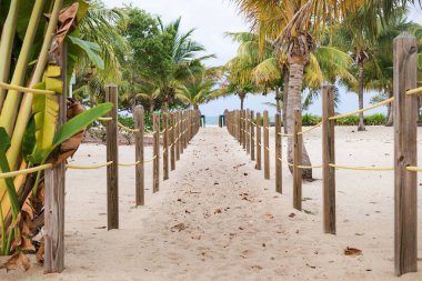 Placencia, Belize 'deki Karayipler' deki okyanus sahillerine giden kum yolu.