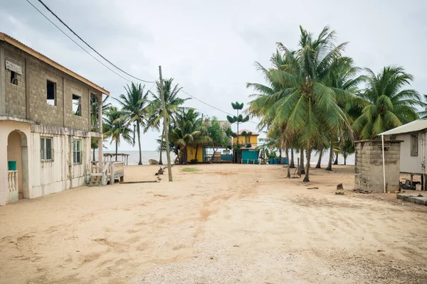 Homokút Helyi Beach Bar Között Pálmafák Karib Tenger Hopkins Belize — Stock Fotó