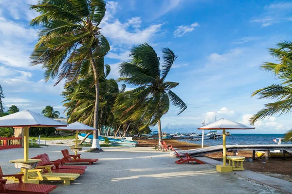 Playa Idyll Con Sillas Sombrillas Con Palmeras Isla Caye Caulker —  Fotos de Stock