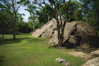 San Ignacio, Belize 'deki Cahal Pech' te Maya Piramidi harabesi