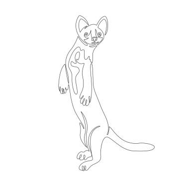 Ayakta duran bir samur ya da kestane ağacı. Vektör illüstrasyonu tek satırda yapılır. Çocuk kitapları, tipografi, kalıplar, vahşi yaşam alanları, hayvanat bahçeleri için elverişli 