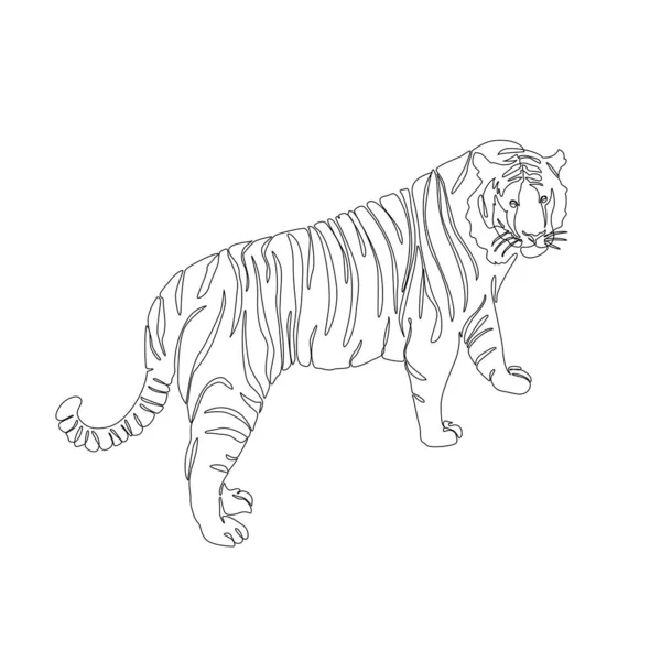 Τίγρης Είναι Σύμβολο Του 2022 Εικονογράφηση Διάνυσμα Γίνεται Μία Γραμμή — Διανυσματικό Αρχείο