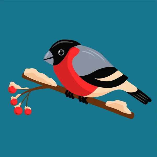 Heldere Mooie Vector Illustratie Illustratie Van Een Bullfinch Een Tak — Stockvector