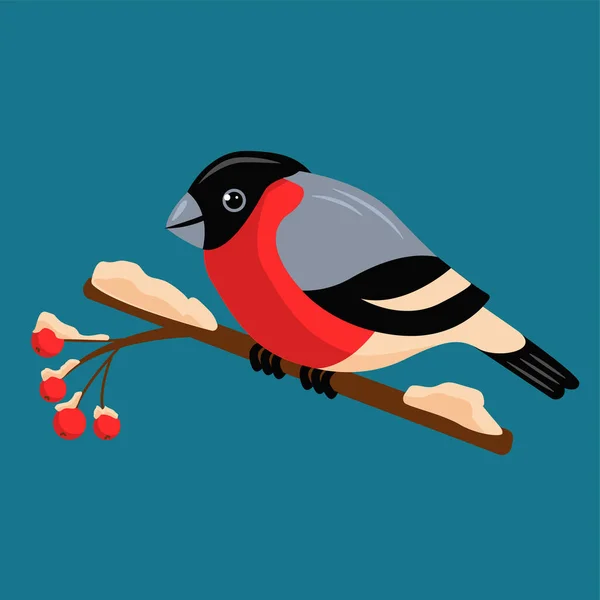 Bela Ilustração Vetorial Brilhante Ilustração Bullfinch Ramo Com Cinza Montanha — Vetor de Stock