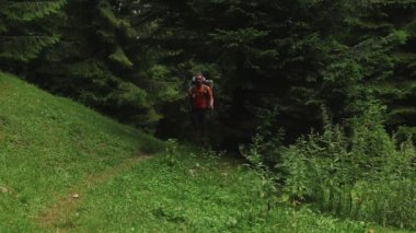 Yalnız bir yürüyüşçü yaz boyunca dağdaki ormanın derinliklerinde ağır sırt çantasıyla yürür.