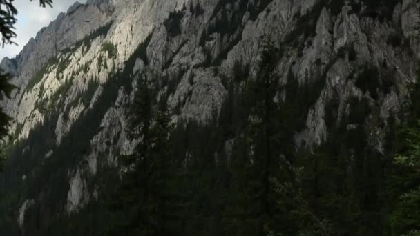 Niesamowity Krajobraz Górski Klifami Drzewami Okresie Letnim — Wideo stockowe