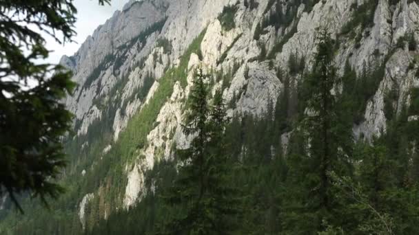 Erstaunliche Berglandschaft Mit Klippen Und Bäumen Sommer — Stockvideo