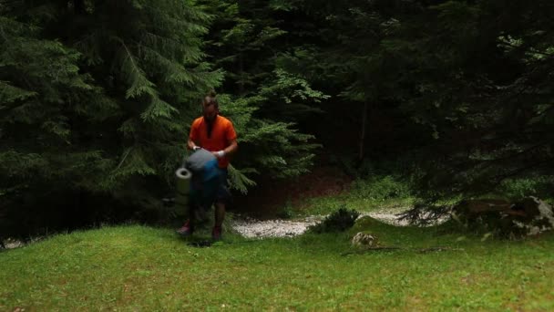 Turysta Wkłada Plecak Rozpoczyna Wędrówkę Leśnej Ścieżce Latem — Wideo stockowe