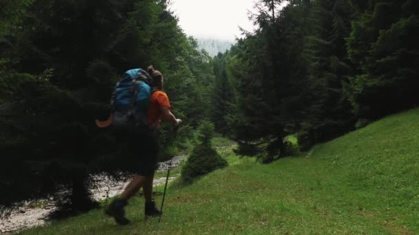 Caminante Solitario Camina Bosque Profundo Montaña Con Una Pesada Mochila — Vídeos de Stock