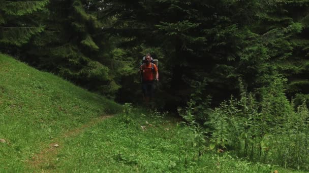 一个孤独的徒步旅行者夏天背着沉重的背包在深山的森林里散步 — 图库视频影像