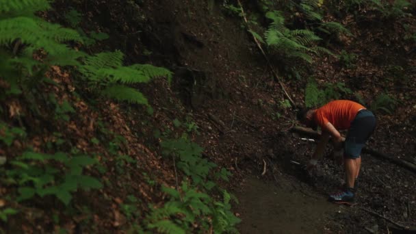 Hiker Drinks Fresh Water Forest Stream Summer — Stock Video