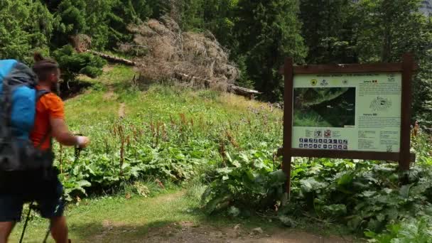 등산을 사람은 여름철에 걷는다 — 비디오