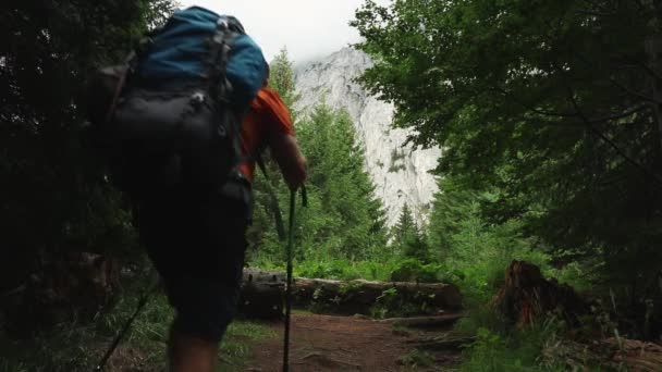 Ein Einsamer Wanderer Wandert Sommer Mit Schwerem Rucksack Tiefen Wald — Stockvideo
