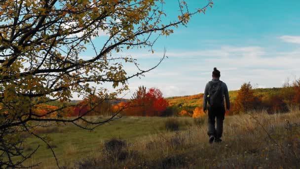 Homem Caminhando Direção Bela Floresta Com Folhas Coloridas Outono — Vídeo de Stock