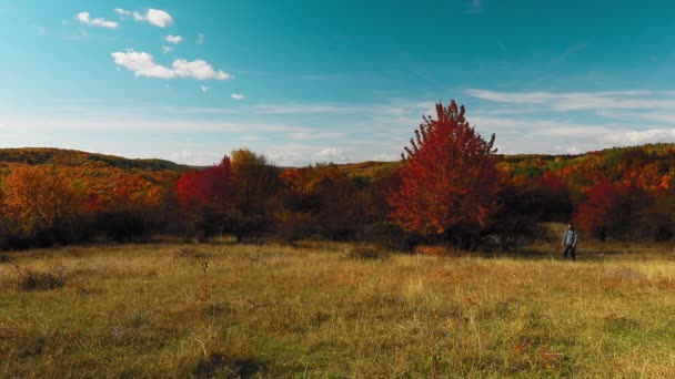 紅葉の美しい森の中を歩いている男 — ストック動画