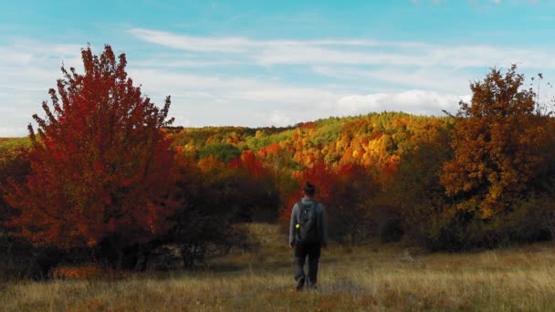 Homem Caminhando Direção Bela Floresta Com Folhas Coloridas Outono — Vídeo de Stock