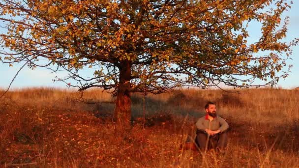 秋に木の下に座ってリラックスしている男 — ストック動画