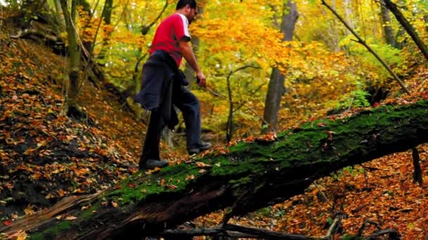 Muž Kráčí Kmeni Stromu Lese Během Podzimu — Stock video