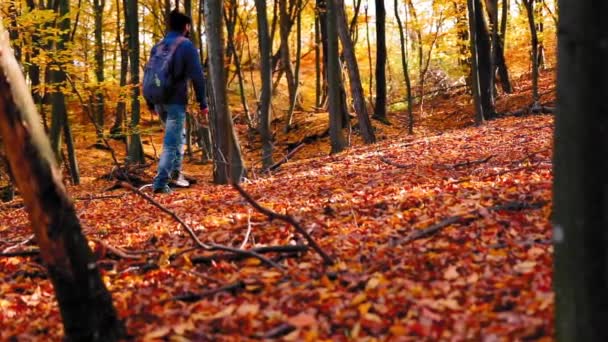 Mężczyzna Chodzi Samotnie Leśnej Ścieżce Kolorowymi Liśćmi Jesienią — Wideo stockowe