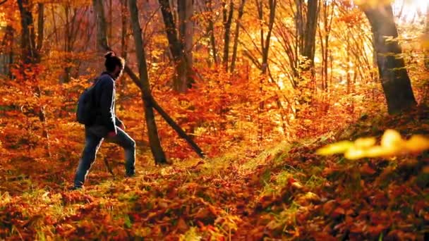 Een Man Loopt Het Bos Met Kleurrijke Bladeren Tijdens Herfst — Stockvideo