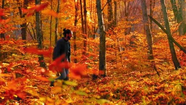 Man Går Skogen Med Färgglada Löv Hösten — Stockvideo