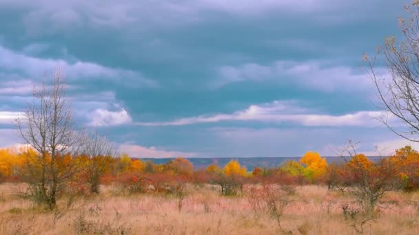 曇りの日には畑の紅葉の風景 — ストック動画