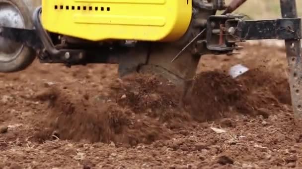 Cultivador Deforma Solo Para Semeadura Primavera — Vídeo de Stock