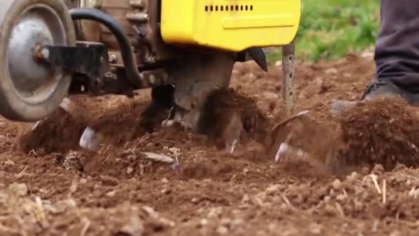 栽培者は春の播種のために土壌を警告する — ストック動画