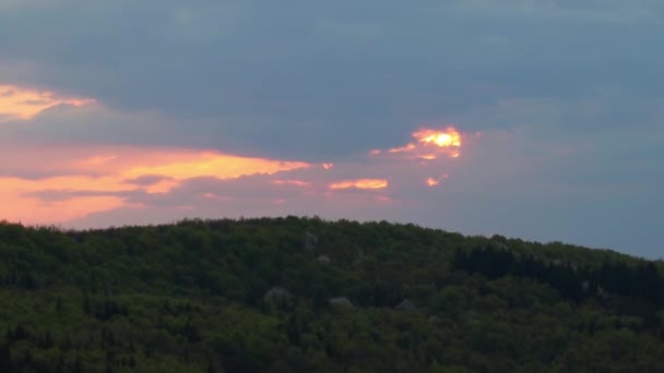 Hermoso Paisaje Atardecer Con Bosque Fondo — Vídeo de stock